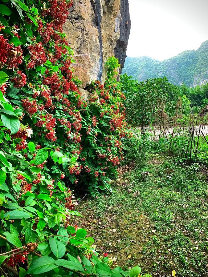 Trang An Valley Bungalow Ninh Binh Eksteriør bilde