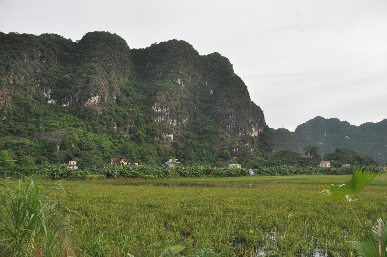Trang An Valley Bungalow Ninh Binh Eksteriør bilde